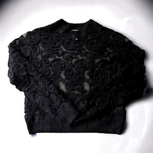 Angora blend black sheer sweater
